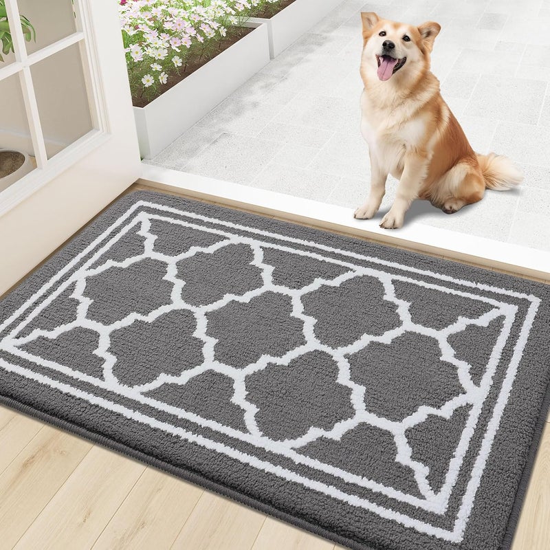 Buganda Indoor Door Mat, Dirt-Resistant and Absorbent Doormat, Anti-Slip, Low Profile Floor Mats for Inside Entryway, Front, and Back Door Entrance (30x17 Inches, Grey) - Image 1